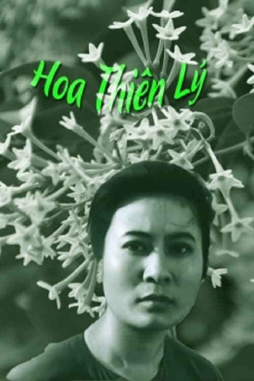 Hoa Thiên Lý (1973) poster