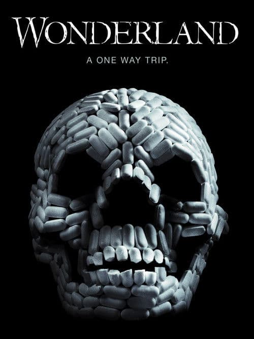VIViD (2011) poster