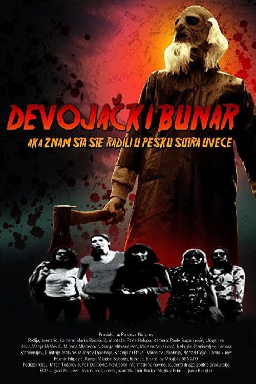 Devojački Bunar (2008) poster