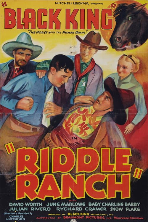 Riddle Ranch (1935) poster