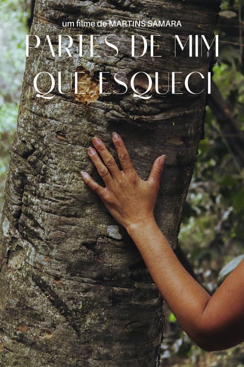 Partes de Mim que Esqueci (2025) poster