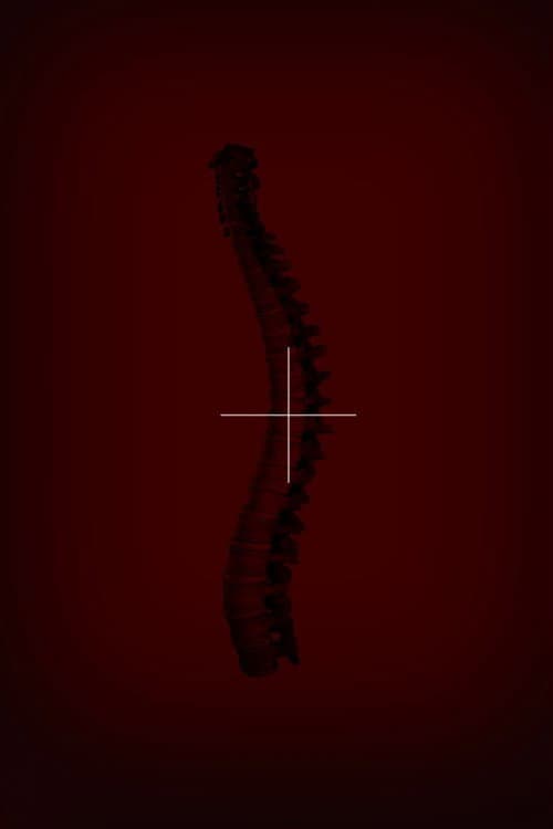 Il Terzo Reich (2020) poster