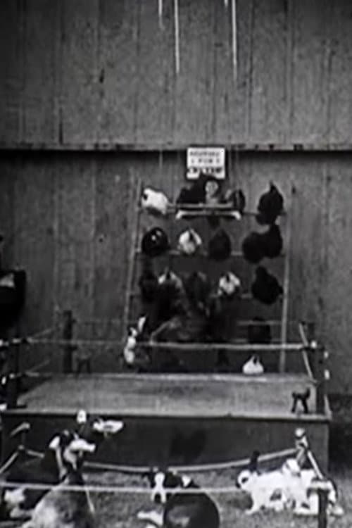 The Knockout (1923) poster