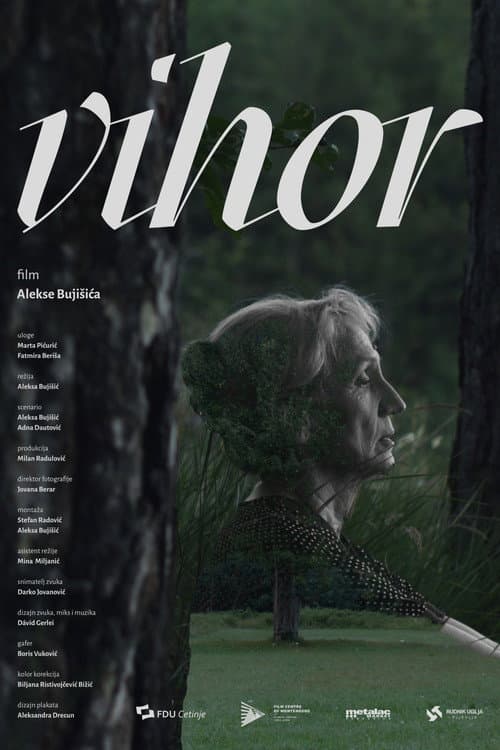 Vihor (2026) poster