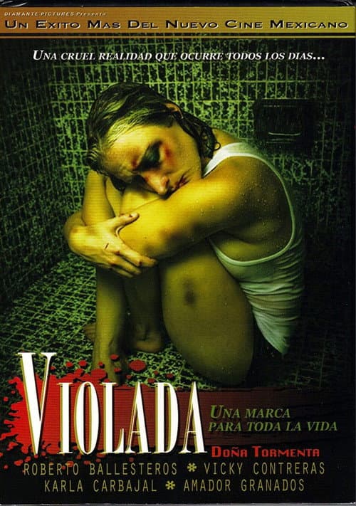 Doña Tormenta (2011) poster