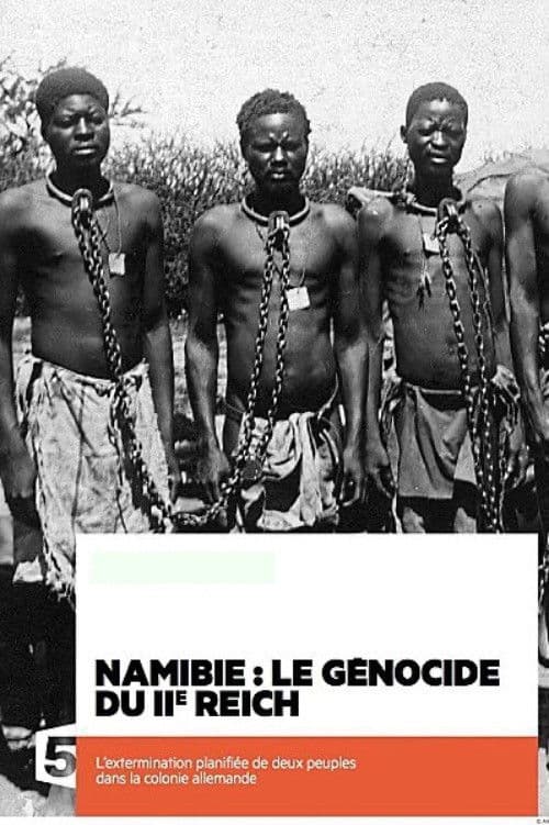 Namibie : le génocide du IIe Reich (2012) poster