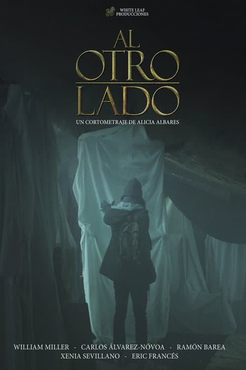 Al otro lado (2013) poster