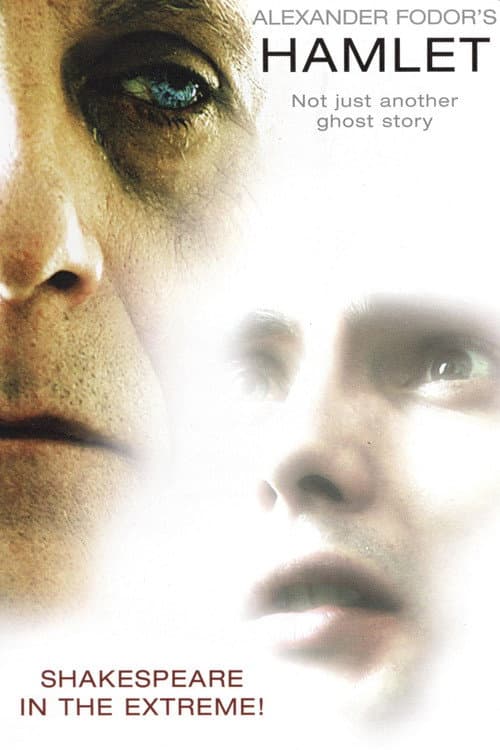 Fodor's Hamlet (2007) poster