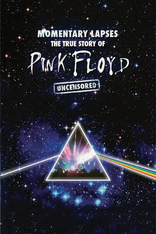 Pink Floyd: Momentary Lapses - The True Story of Pink Floyd (2010) poster