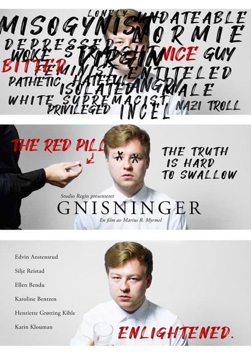 Gnisninger (2020) poster