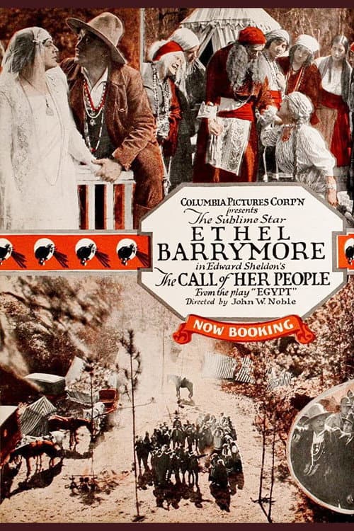The Call of Her People (1917) poster