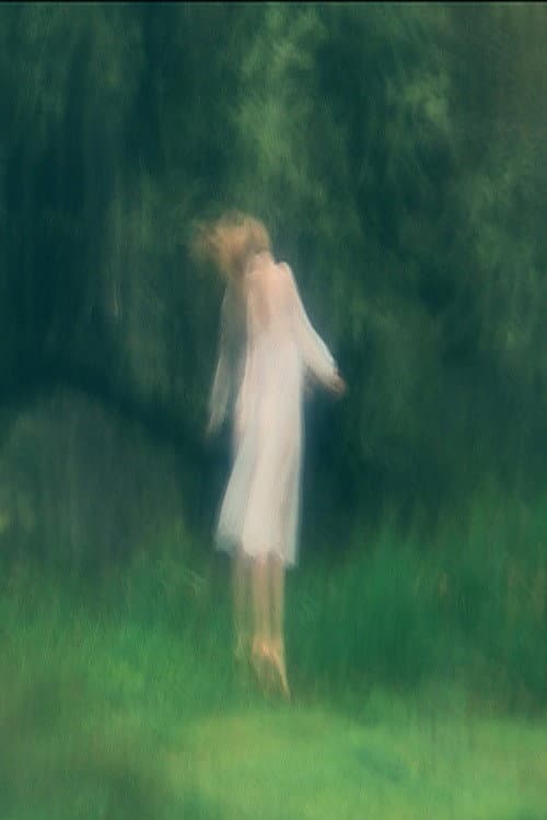 Angelus Novus (2016) poster