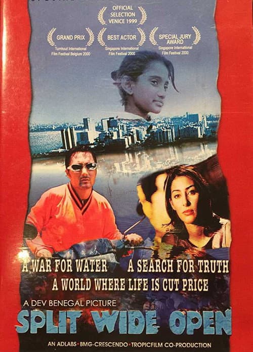 Split Wide Open (1999) poster