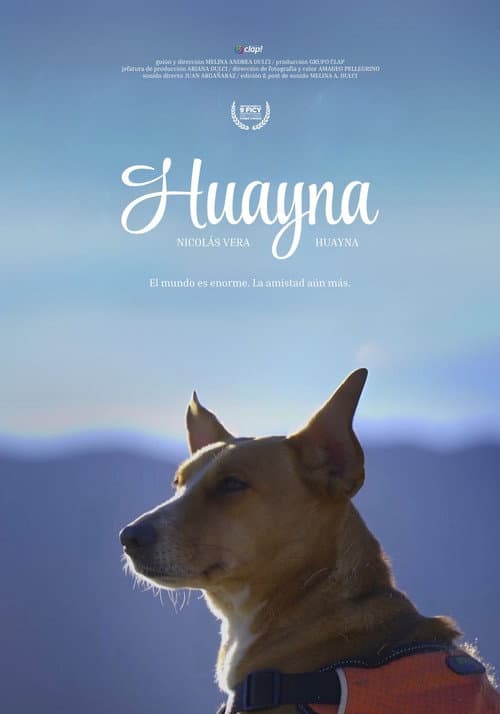 Huayna (2020) poster