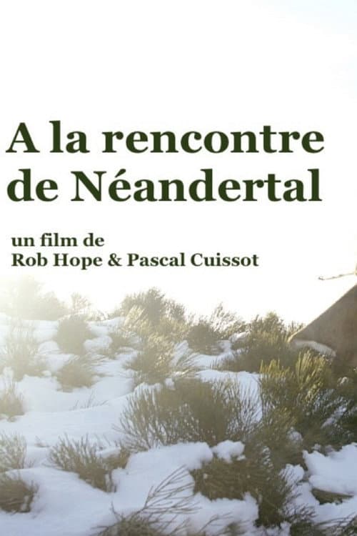 À la rencontre de Néandertal (2019) poster