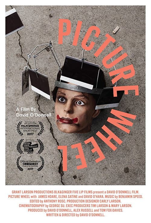 Picture Wheel (2017) poster