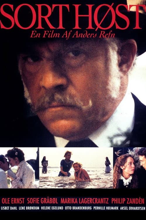 Sort høst (1993) poster