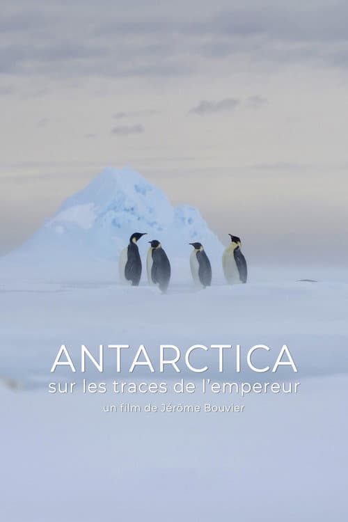 Antarctica, sur les traces de l'empereur (2016) poster