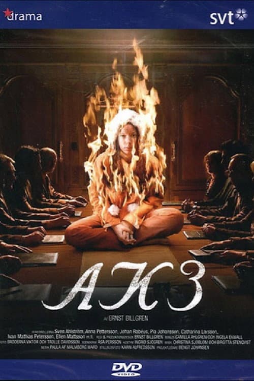 AK3 - Dolda beslut (2006) poster