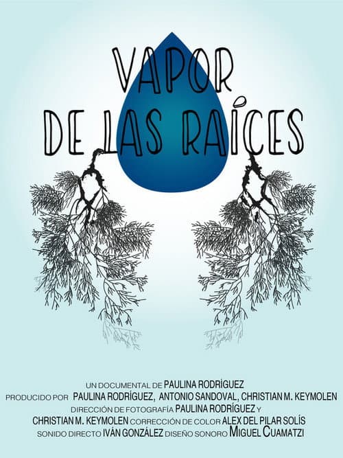 Vapor de las raíces (2020) poster
