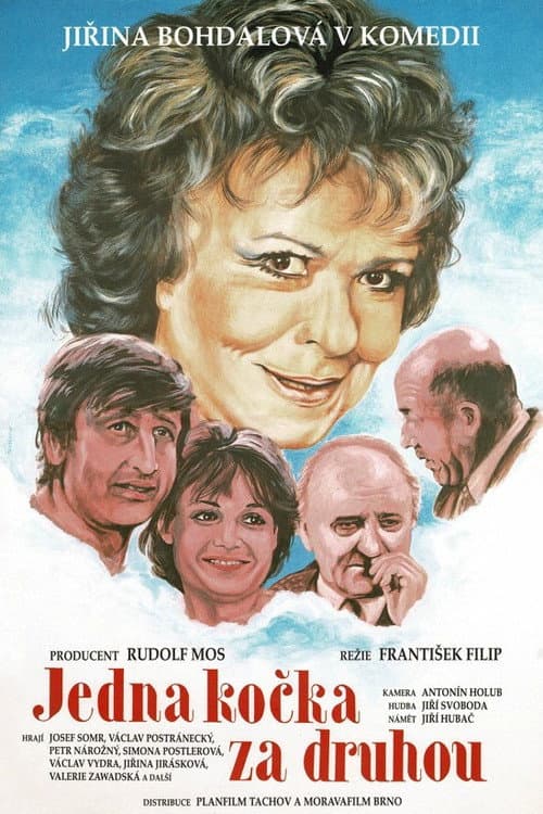 Jedna kočka za druhou (1993) poster