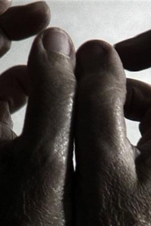 2 x 5 (1993) poster
