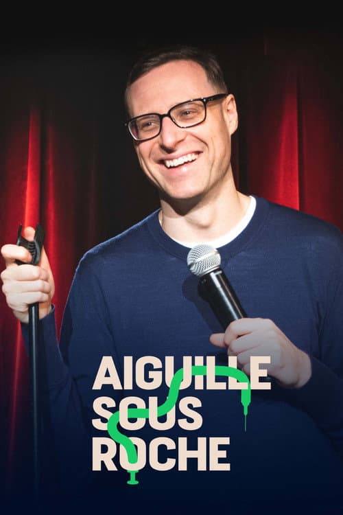 Aiguille sous roche (2021) poster