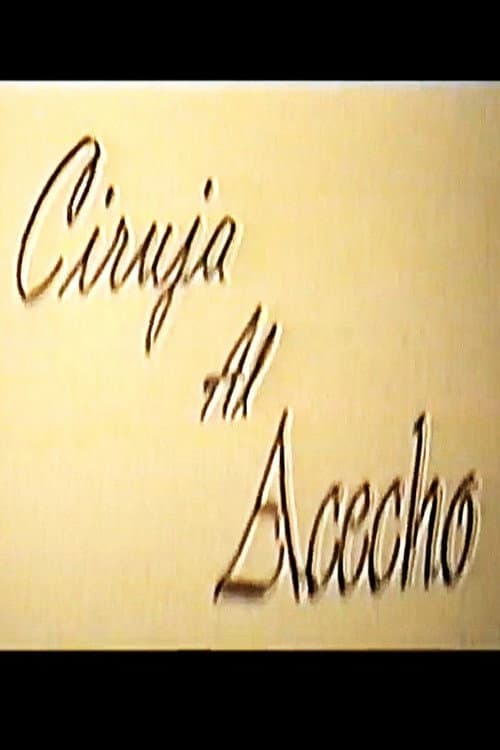 Ciruja al acecho (1998) poster