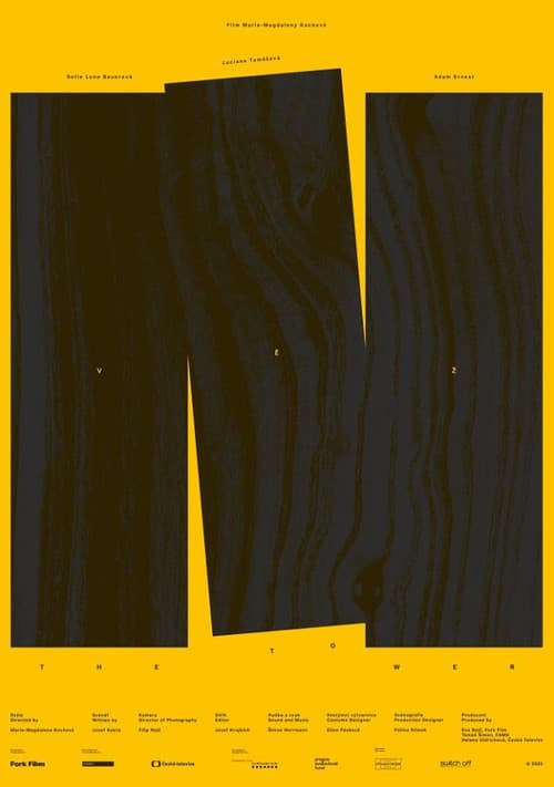 Věž (2026) poster