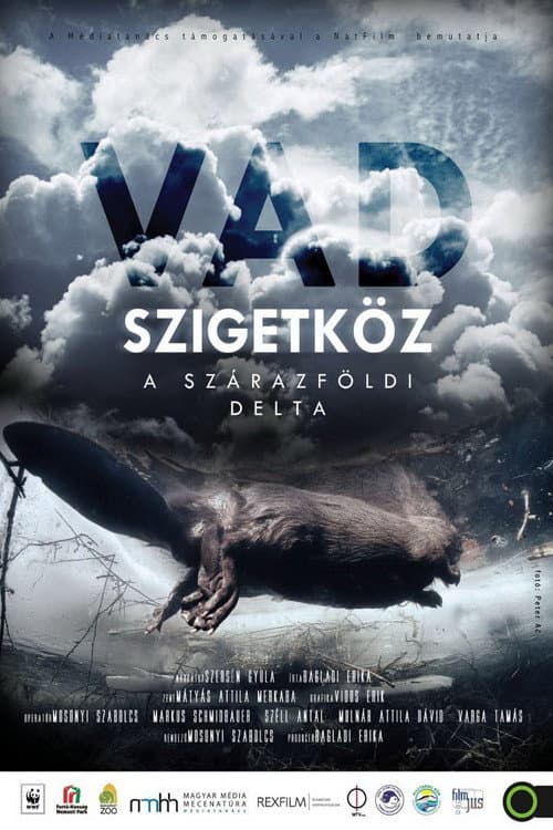 Vad Szigetköz - A szárazföldi delta (2013) poster