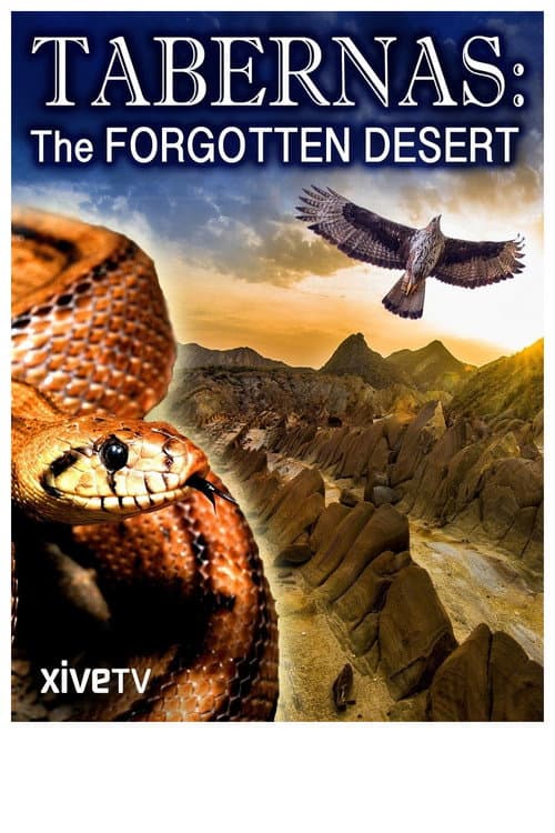 Tabernas: The Forgotten Desert (2010) poster