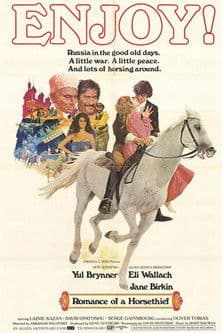Le Roman d'un voleur de chevaux (1971) poster