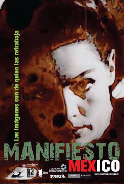 Manifiesto México (2014) poster