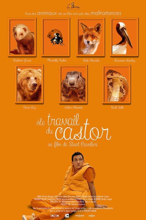 Le Travail du castor (2019) poster