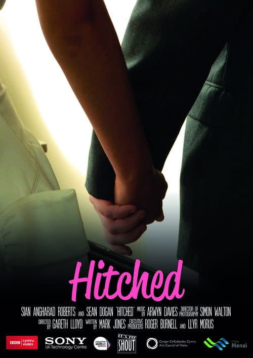 Hitched (2014) poster