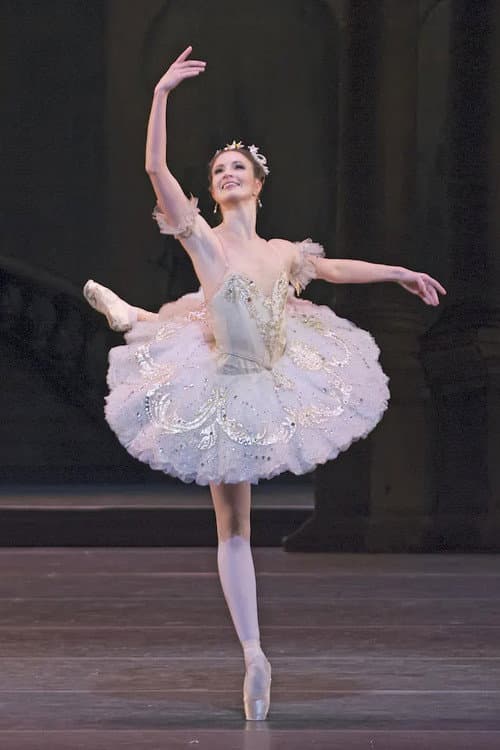The Sleeping Beauty (2011) poster