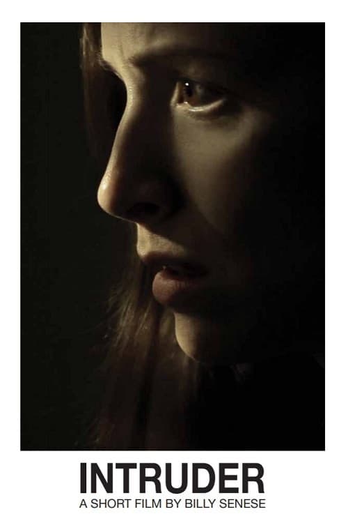 Intruder (2011) poster