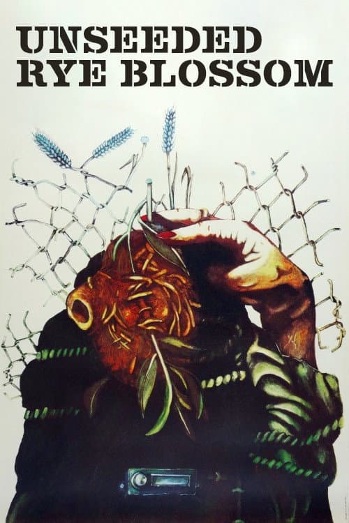 Nesėtų rugių žydėjimas (1979) poster