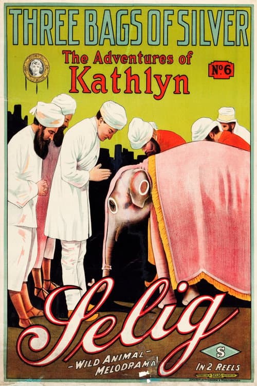 Three Bags of Silver (1914) poster
