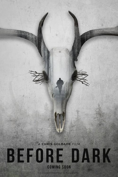Before Dark (2023) poster