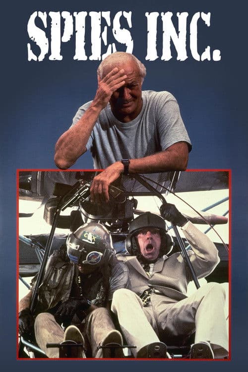 Spies, Lies & Alibies (1992) poster