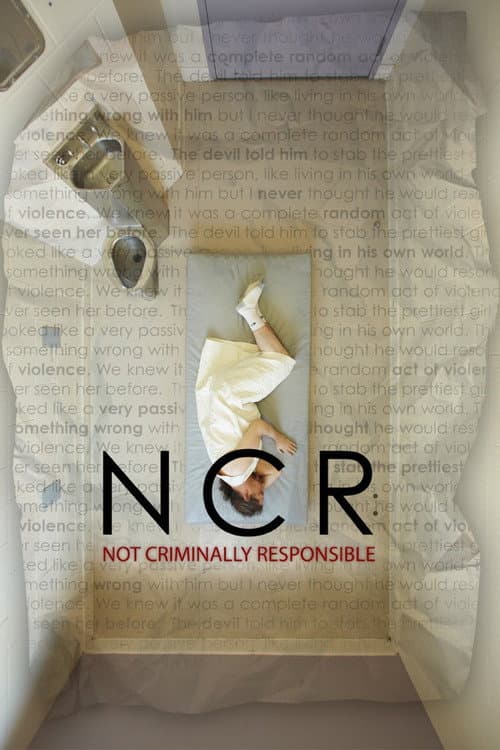 NCR: Not Criminally Responsible (2013) poster