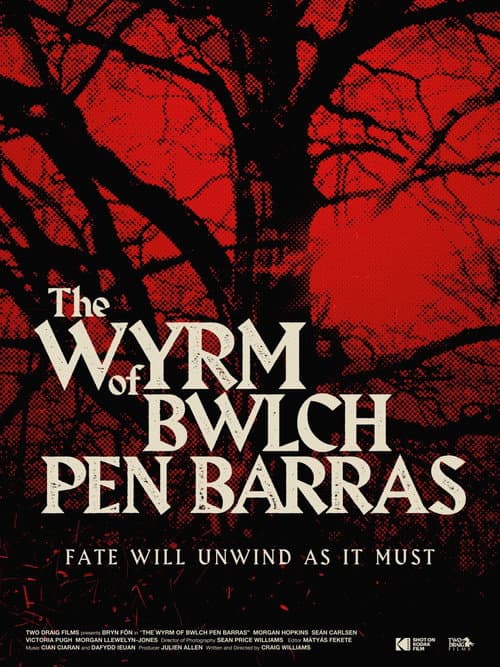 The Wyrm of Bwlch Pen Barras (2023) poster