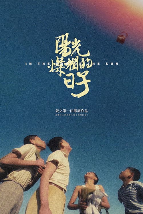 阳光灿烂的日子 (1994) poster