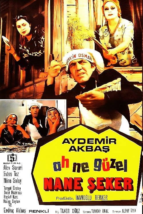 Ah Ne Güzel Nane Şekeri (1976) poster