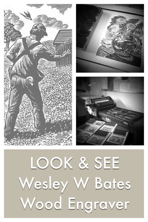 LOOK & SEE:  Wesley W. Bates - Wood Engraver (2017) poster