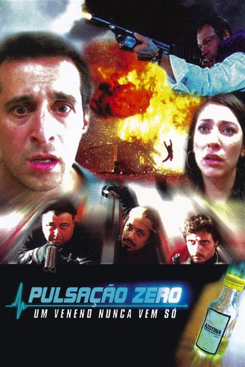 Pulsação Zero (2002) poster