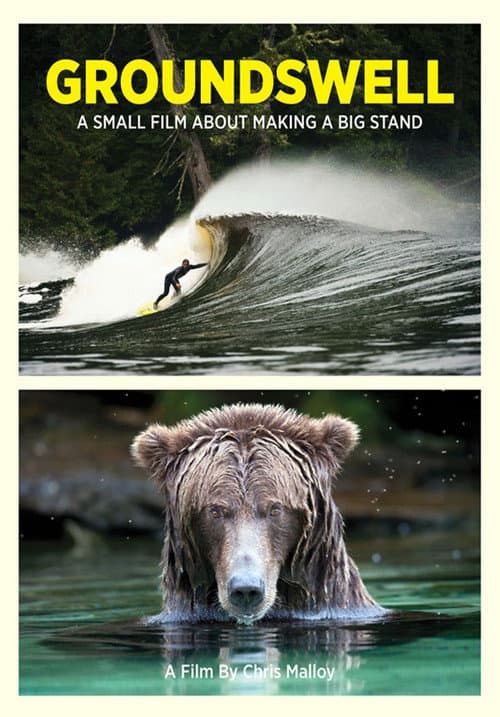 Groundswell (2012) poster