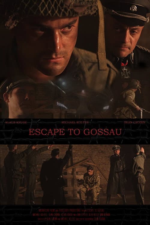 Escape to Gossau (2013) poster