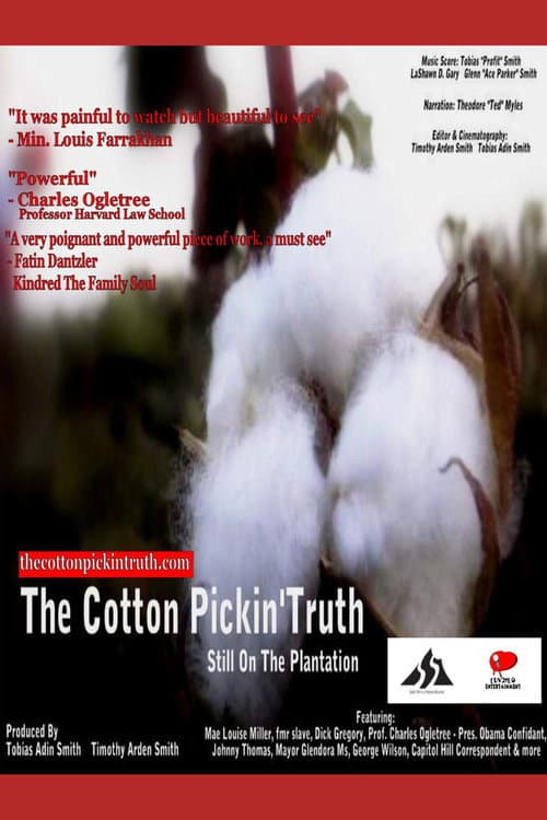 The Cotton Pickin Truth... Still on the Plantation (2020) poster